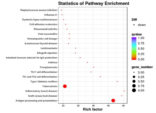 Pathway enrichment dotplot