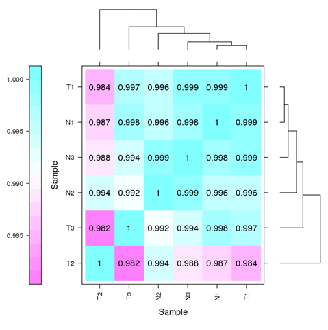 Sample correlation heatmap