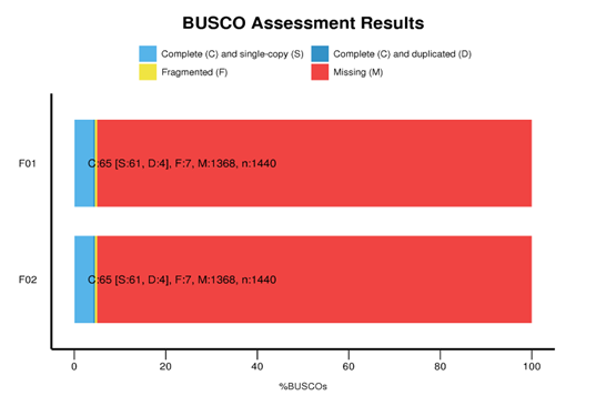 BUSCO Assessment Results
