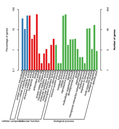 Functional annotation plot