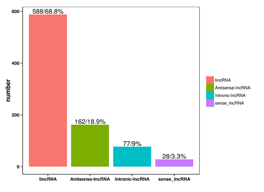 lncRNA prediction chart