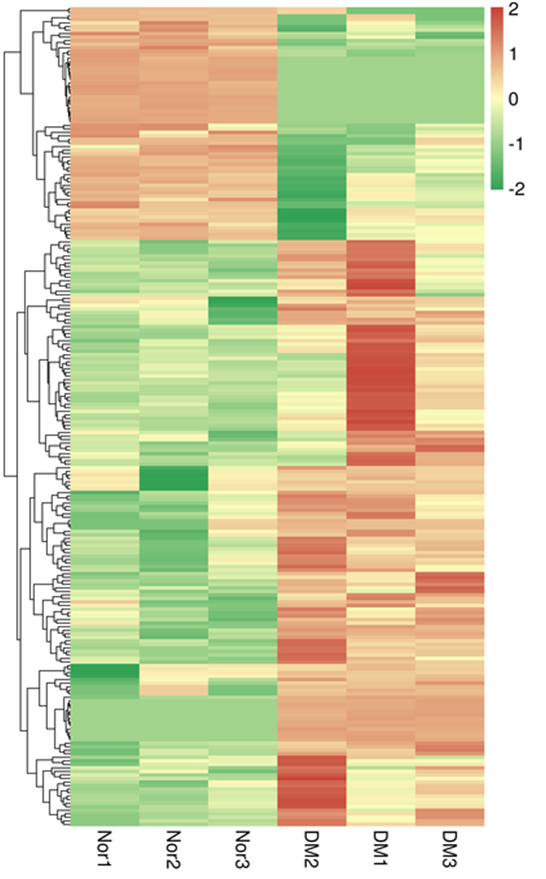 Clustering of DETs heatmap