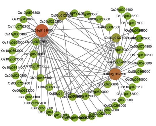 Network analysis graph