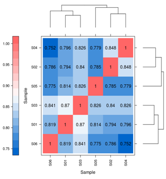 샘플 상관관계 및 평가 히트맵