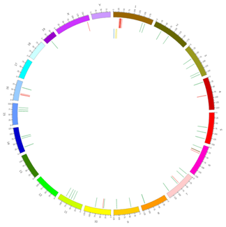 위치 분석 원형 그래프