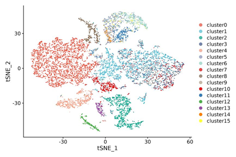 Inner-sample analysis