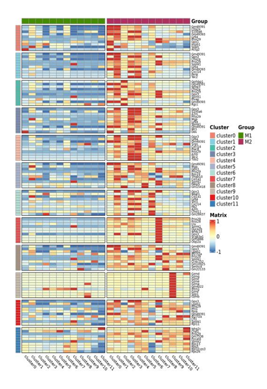 Inter-group analysis