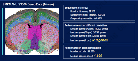 Mouse Brain Data Summary
