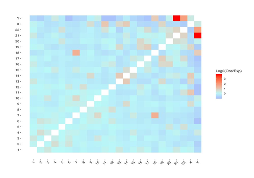 Heatmap of chromosomal interactions
