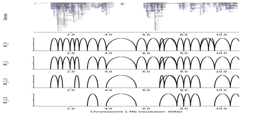 Visualization of TADs continued