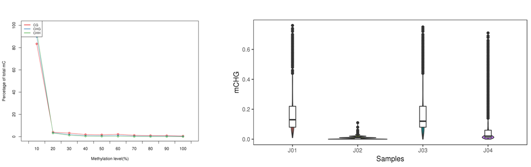 Methylation level graph 1