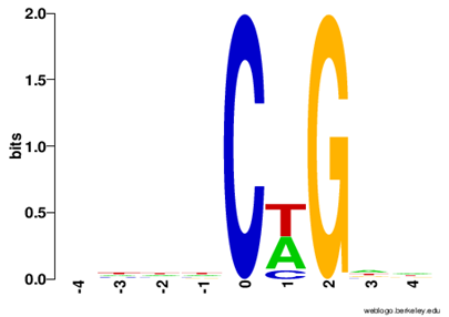 Analysis of near mC 1