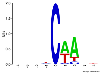 Analysis of near mC 2