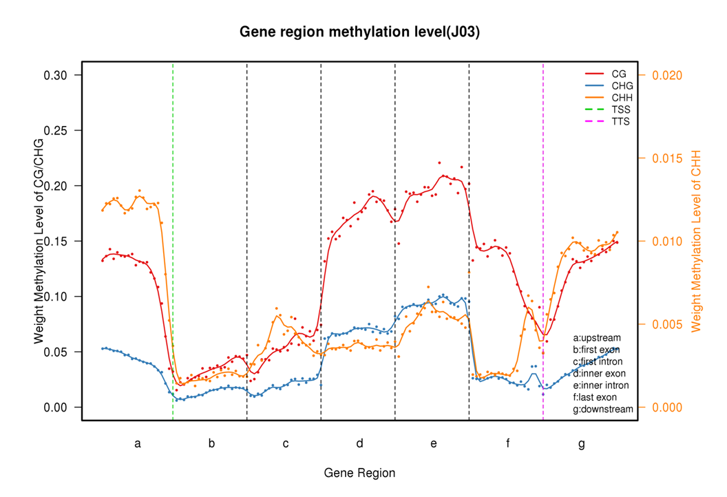 Gene region methylation level graph