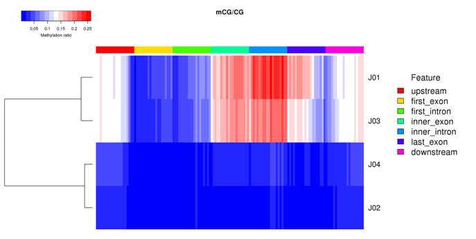 Clustering Heatmap