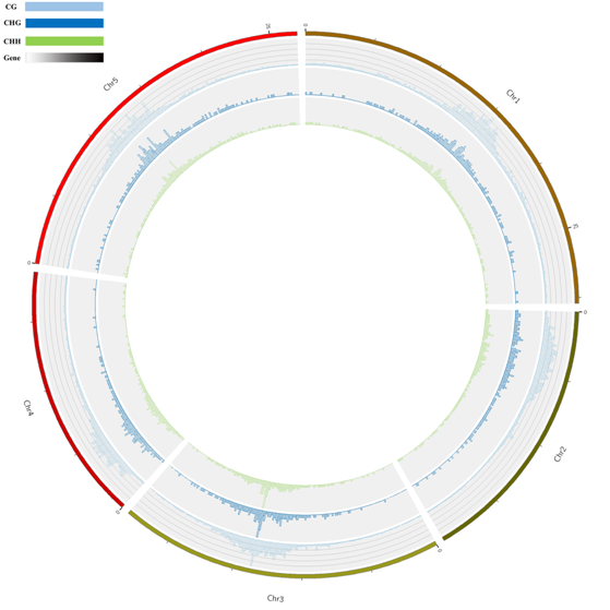 Methylation map 1