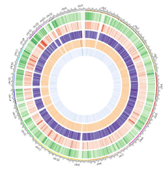 Methylation map 2