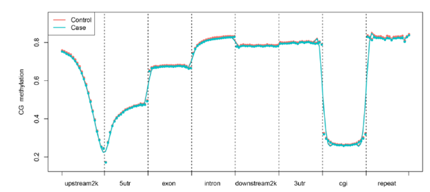 Functional elements methylation graph
