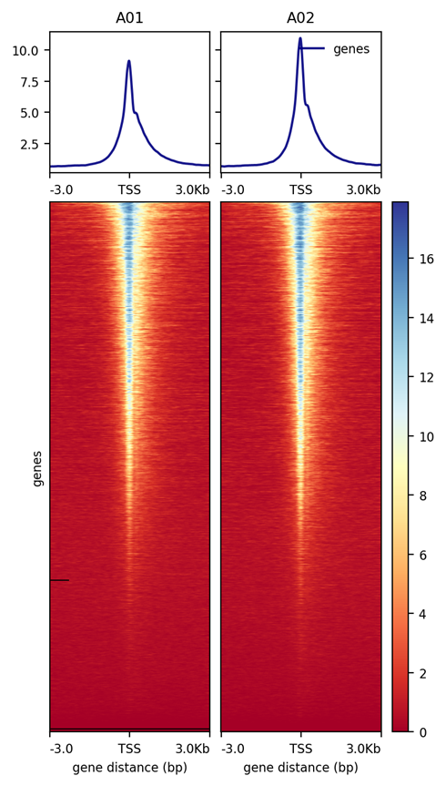 Seq Data Near TSS