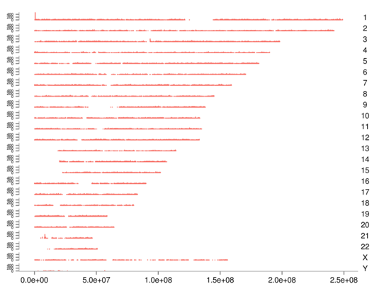 Genome-wide Distribution