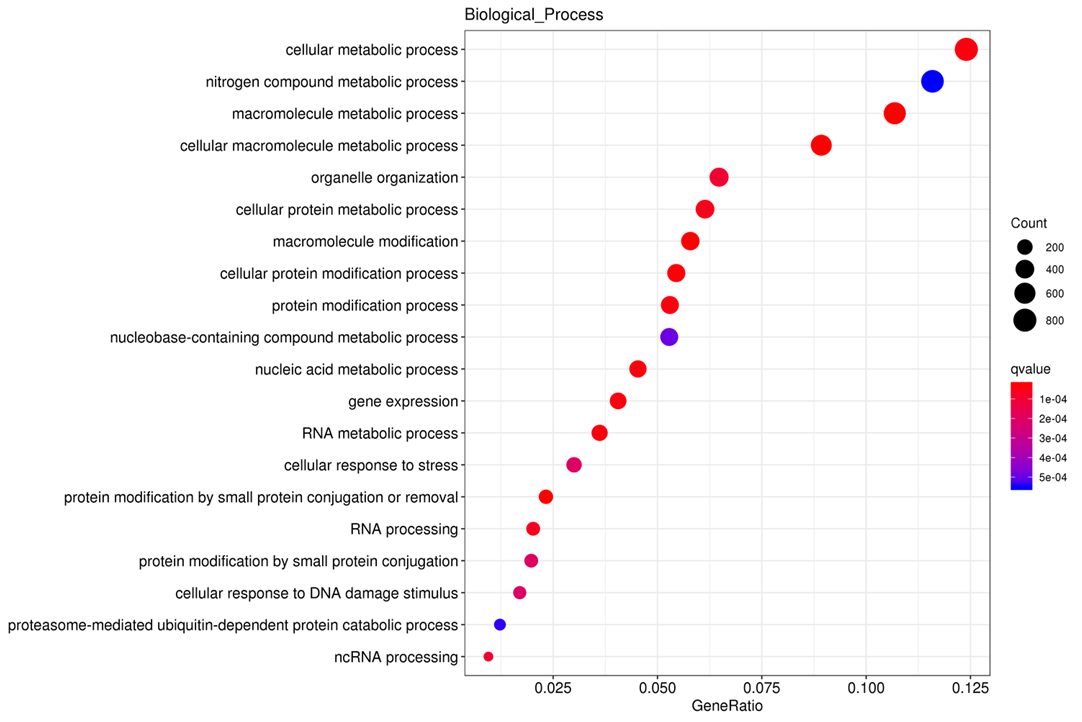 Functional enrichment KEGG