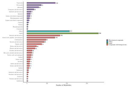 Metabolite Classification Bar Chart