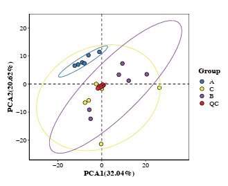 PCA Analysis